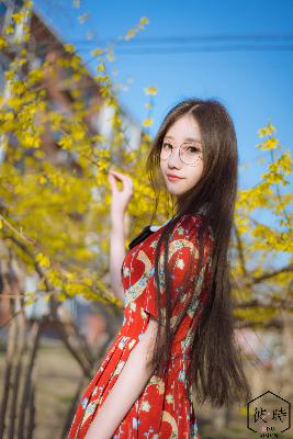 陆贞传奇电视剧在线观看免费全集